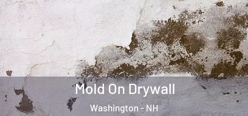 Mold On Drywall Washington - NH