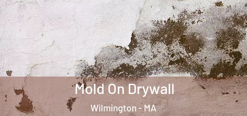 Mold On Drywall Wilmington - MA