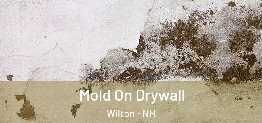  Mold On Drywall Wilton - NH