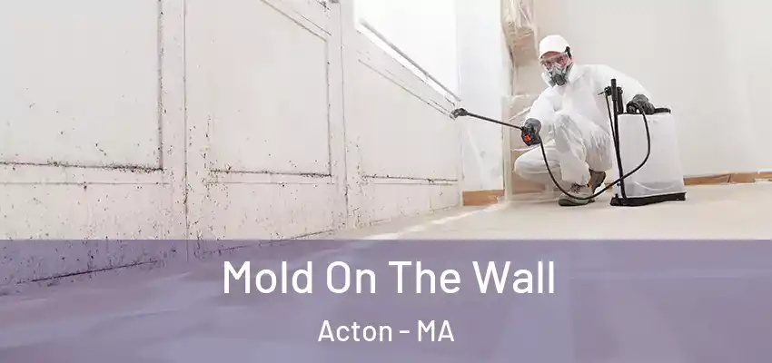 Mold On The Wall Acton - MA