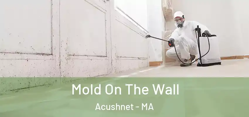  Mold On The Wall Acushnet - MA