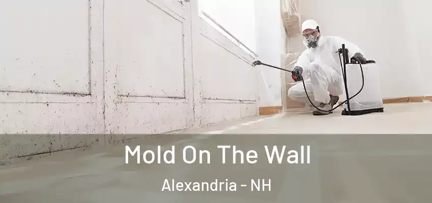  Mold On The Wall Alexandria - NH