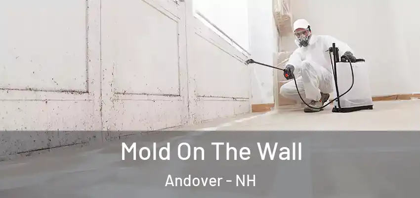Mold On The Wall Andover - NH