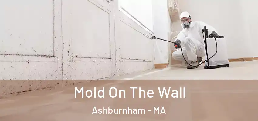  Mold On The Wall Ashburnham - MA