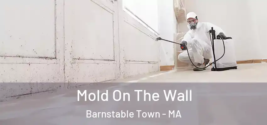 Mold On The Wall Barnstable Town - MA
