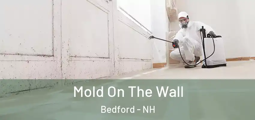  Mold On The Wall Bedford - NH