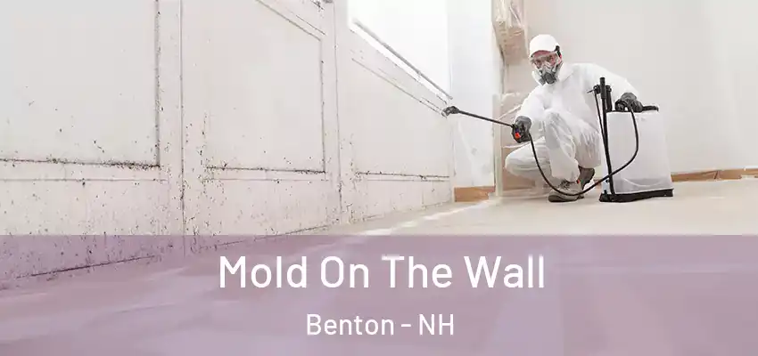 Mold On The Wall Benton - NH