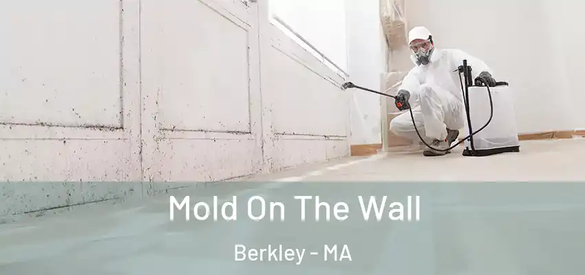Mold On The Wall Berkley - MA