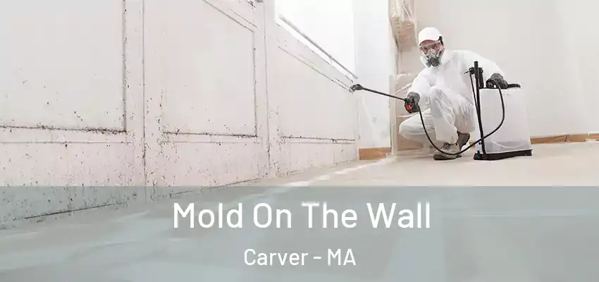  Mold On The Wall Carver - MA