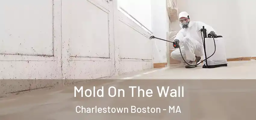 Mold On The Wall Charlestown Boston - MA