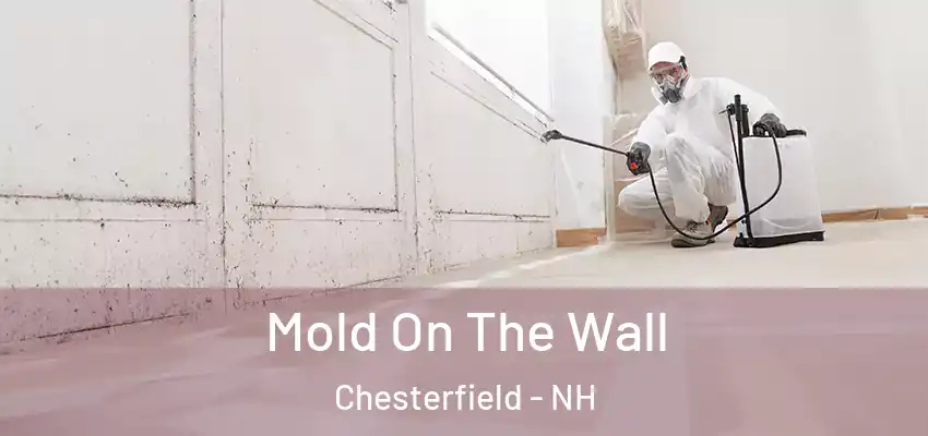  Mold On The Wall Chesterfield - NH