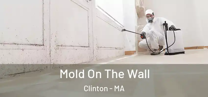 Mold On The Wall Clinton - MA