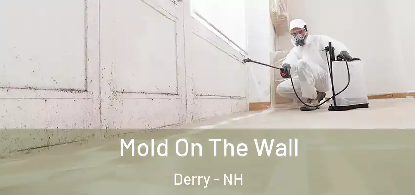 Mold On The Wall Derry - NH