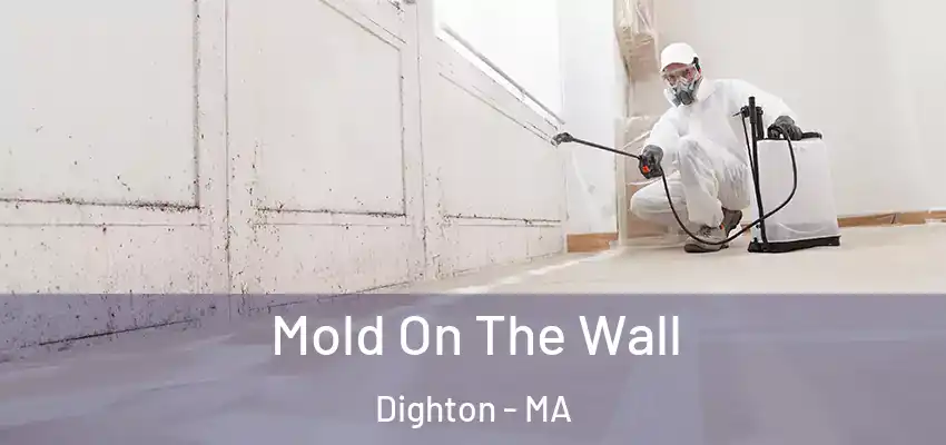 Mold On The Wall Dighton - MA