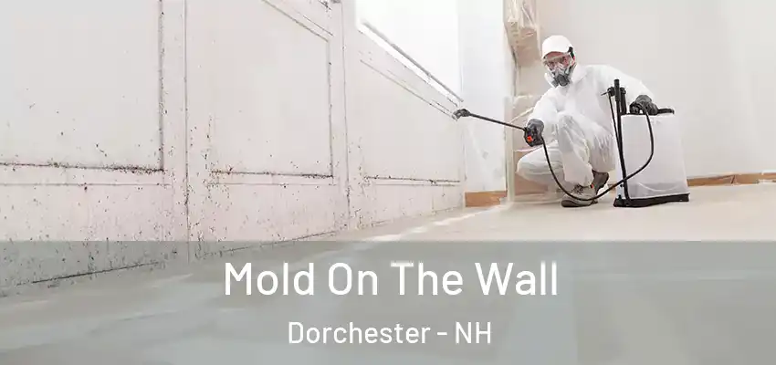 Mold On The Wall Dorchester - NH