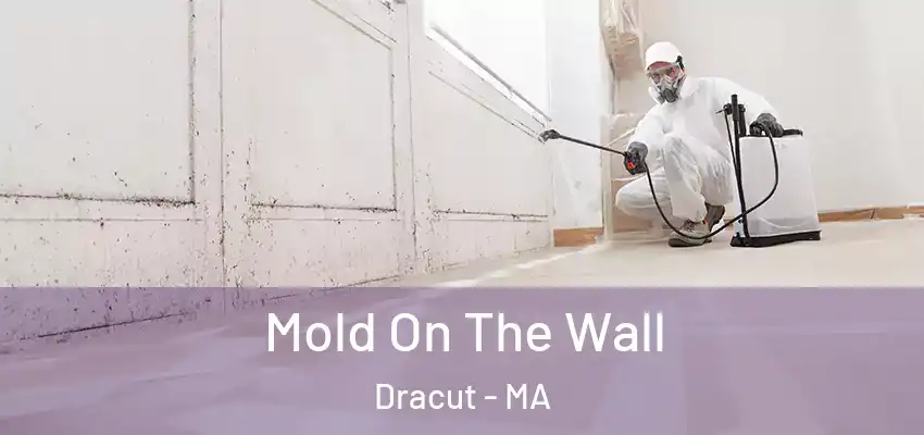 Mold On The Wall Dracut - MA
