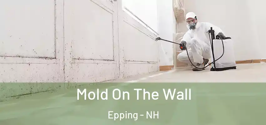 Mold On The Wall Epping - NH