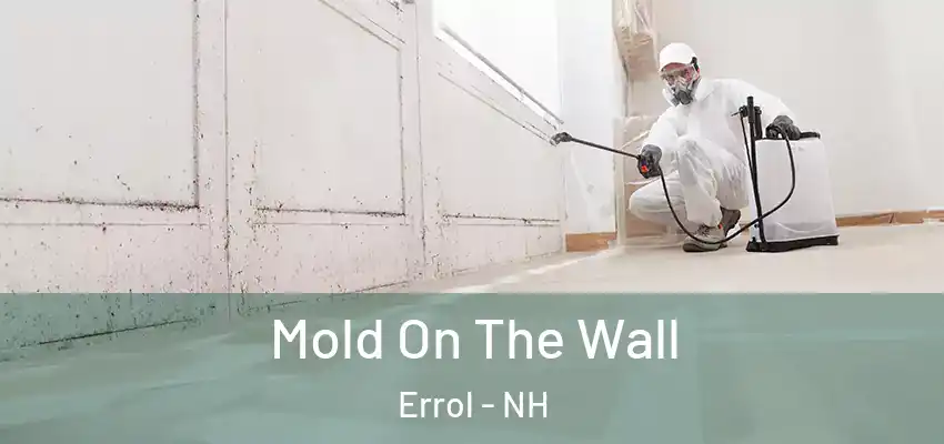  Mold On The Wall Errol - NH