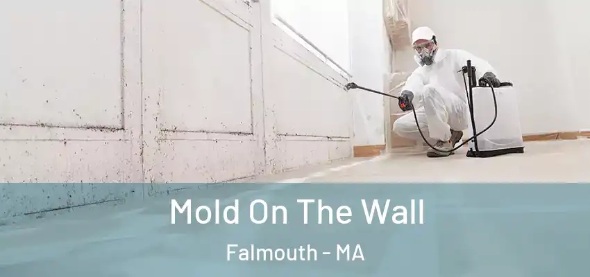  Mold On The Wall Falmouth - MA