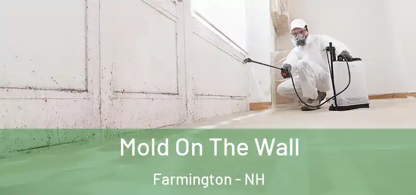 Mold On The Wall Farmington - NH