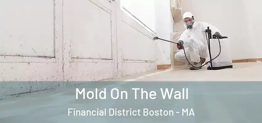  Mold On The Wall Financial District Boston - MA