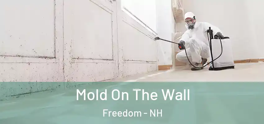 Mold On The Wall Freedom - NH