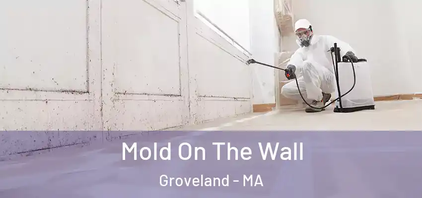 Mold On The Wall Groveland - MA