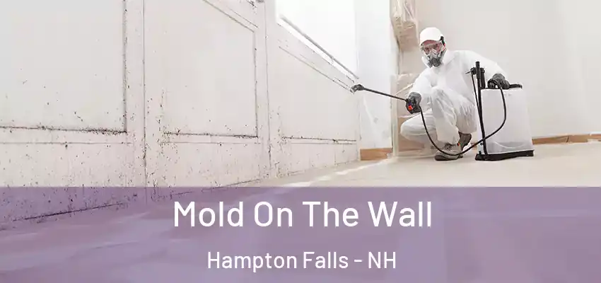 Mold On The Wall Hampton Falls - NH