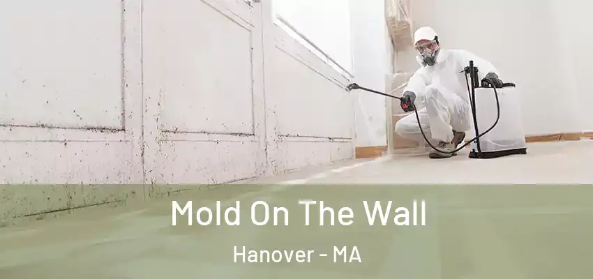 Mold On The Wall Hanover - MA