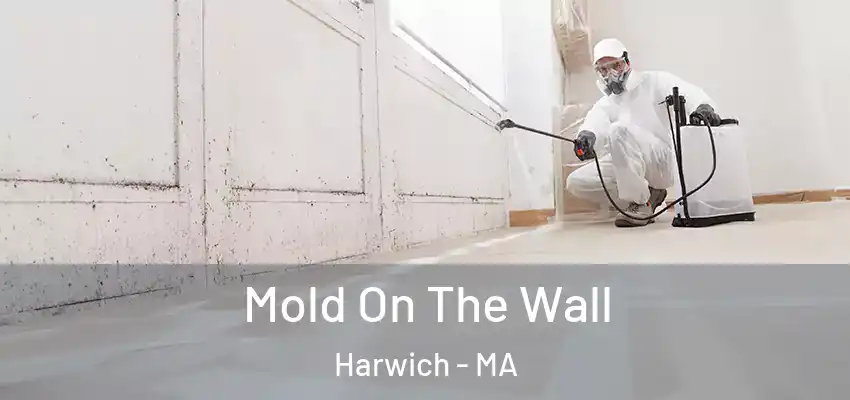  Mold On The Wall Harwich - MA