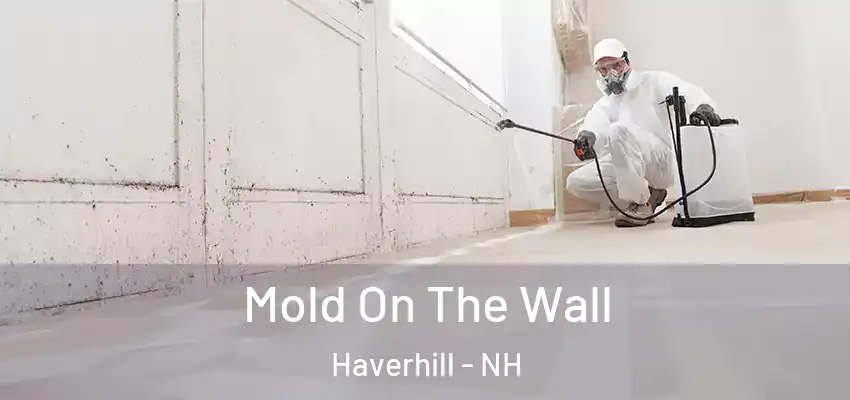  Mold On The Wall Haverhill - NH