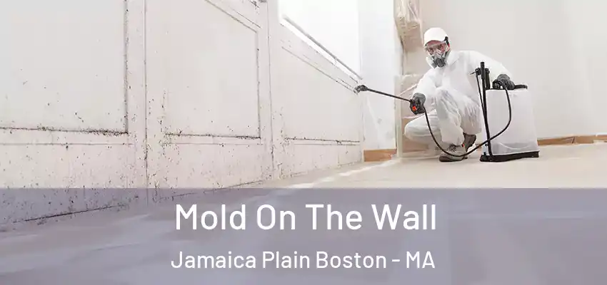  Mold On The Wall Jamaica Plain Boston - MA