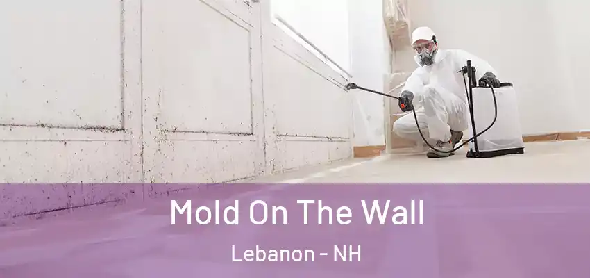 Mold On The Wall Lebanon - NH