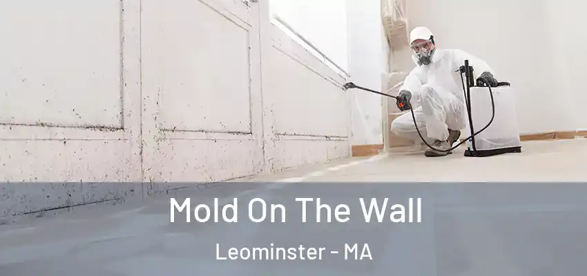  Mold On The Wall Leominster - MA