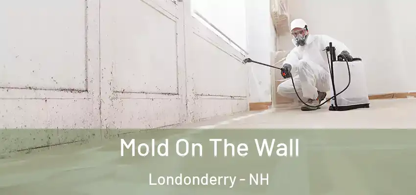 Mold On The Wall Londonderry - NH