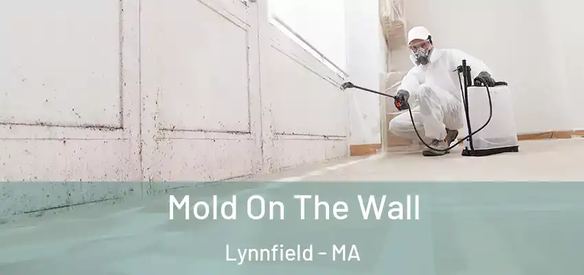  Mold On The Wall Lynnfield - MA