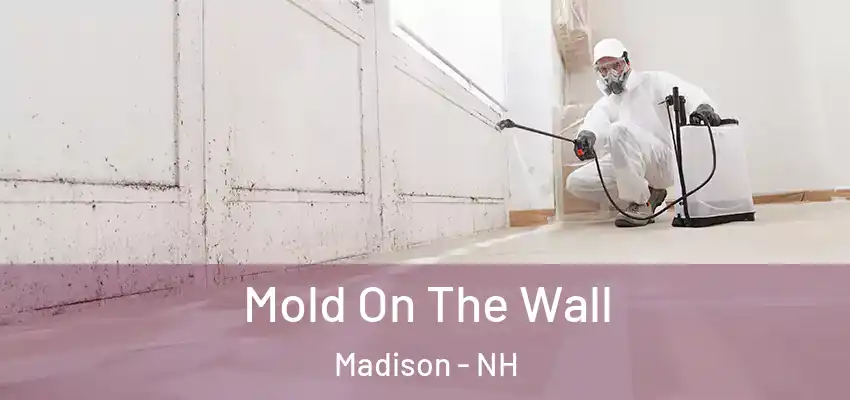  Mold On The Wall Madison - NH