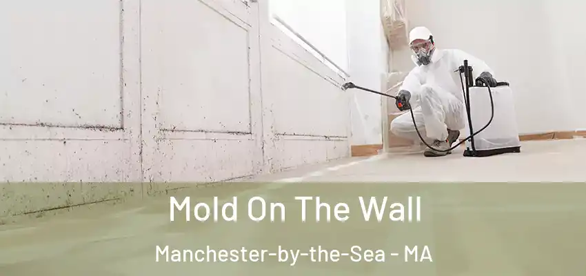 Mold On The Wall Manchester-by-the-Sea - MA