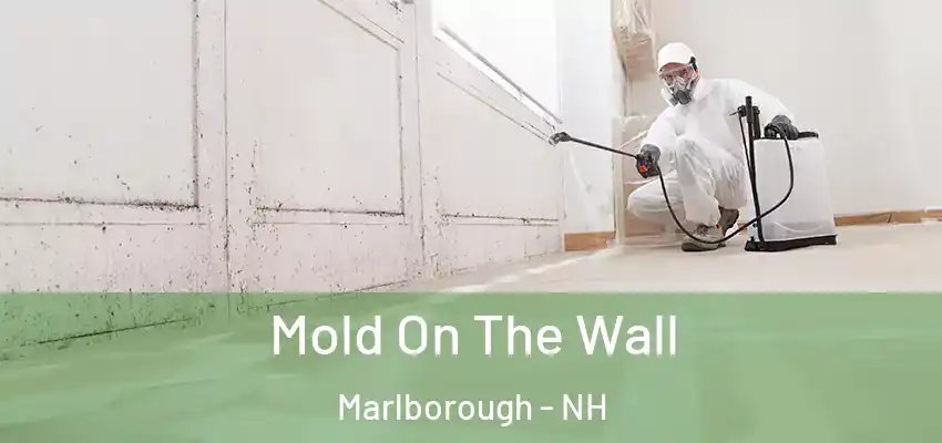  Mold On The Wall Marlborough - NH