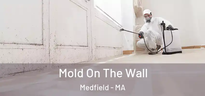 Mold On The Wall Medfield - MA