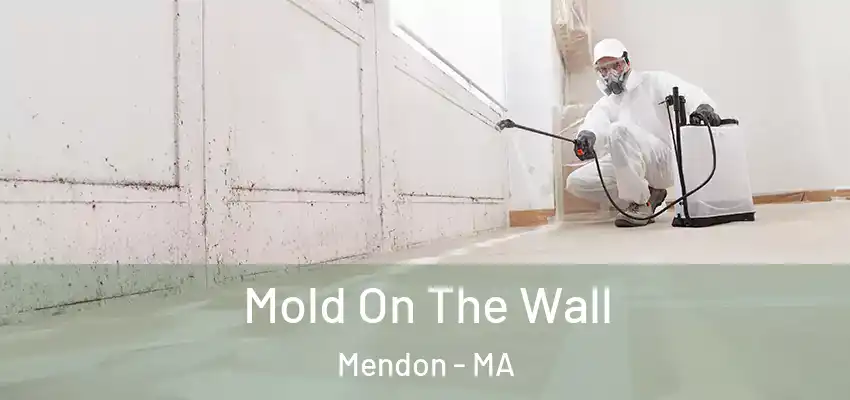 Mold On The Wall Mendon - MA