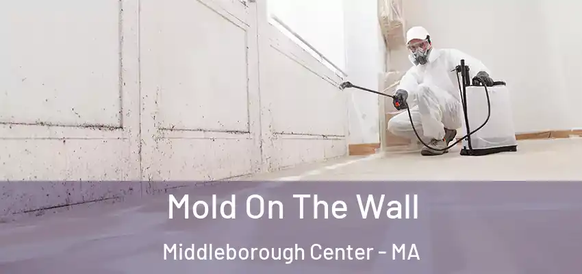 Mold On The Wall Middleborough Center - MA