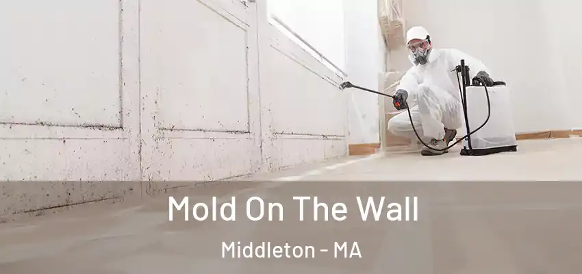 Mold On The Wall Middleton - MA