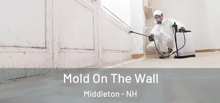 Mold On The Wall Middleton - NH