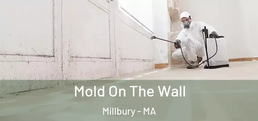  Mold On The Wall Millbury - MA