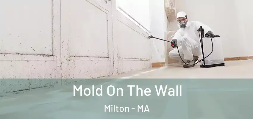 Mold On The Wall Milton - MA
