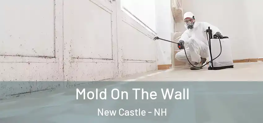 Mold On The Wall New Castle - NH