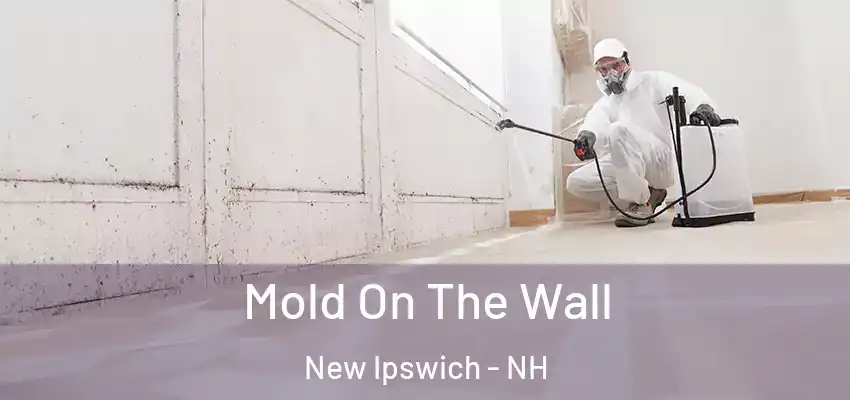 Mold On The Wall New Ipswich - NH
