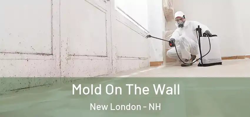  Mold On The Wall New London - NH
