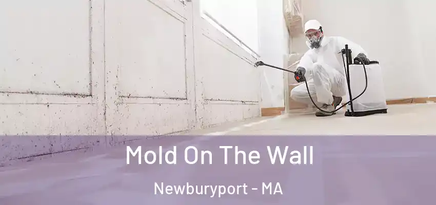 Mold On The Wall Newburyport - MA